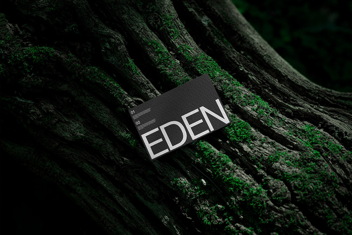 FORMAT EDEN BUSINESSCARD 02, a Product Mockup by Format Mockups (Photo 1 of 3)