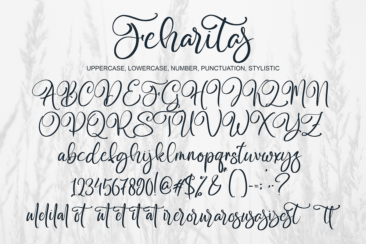 Feharitas, a Script Font by pineungtype (Photo 8 of 8)