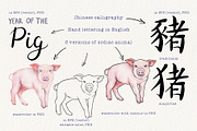 12 Chinese Zodiac Animals set, an Animal Illustration by Alena Solonshchikova (Thumbnail 8 of 13)
