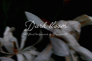 Dark bloom. Floral Backgrounds, a Background Graphic by PaperJamLab (Thumbnail 1 of 14)