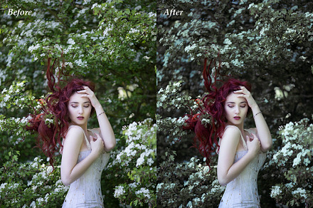 Blossom Photoshop Action preview 4