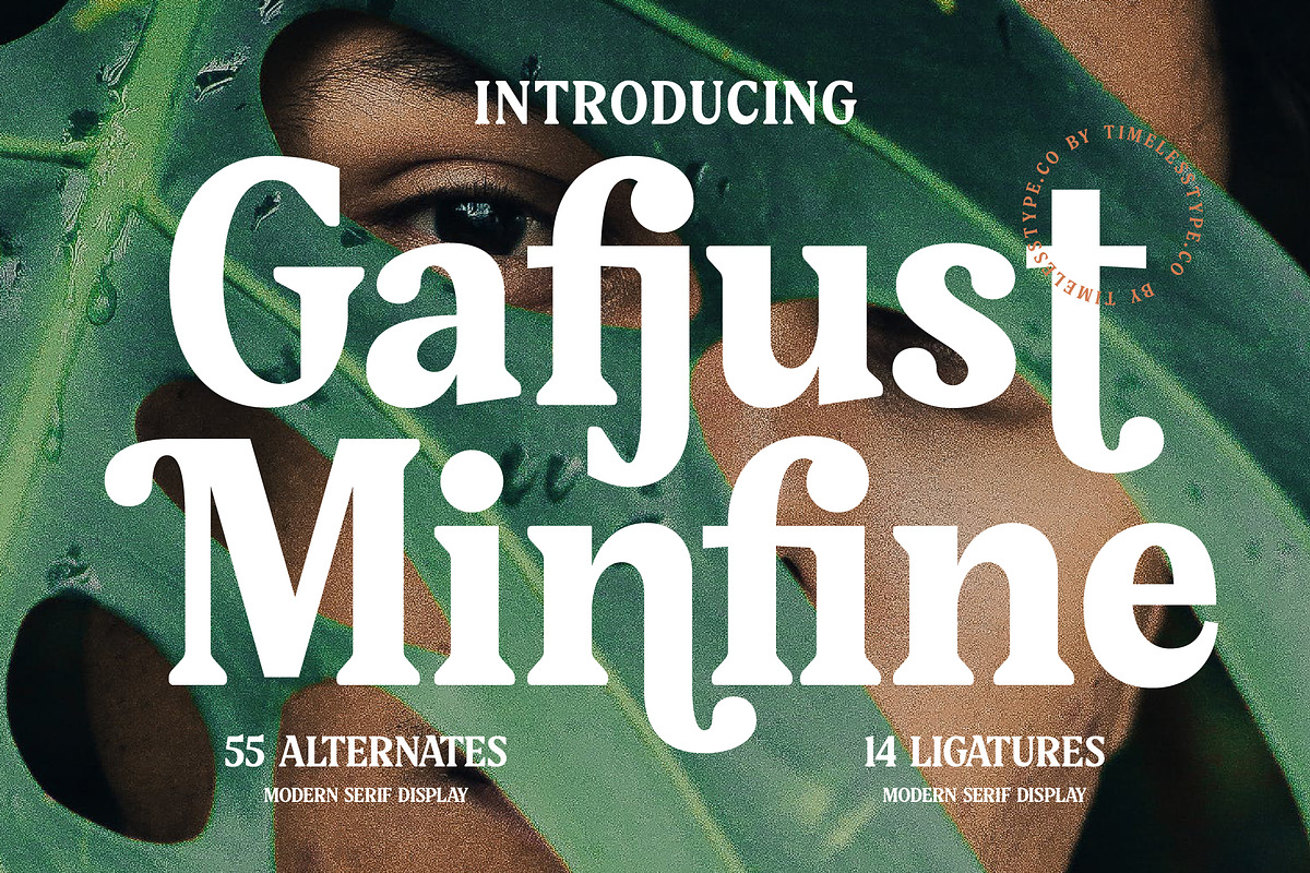 Gafjust Minfine Modern Serif, a Serif Font by timelesstype.co (Photo 1 of 20)