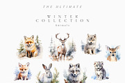 Winter & Christmas Watercolor, a Decorative Illustration by Lana Elanor (Thumbnail 8 of 11)