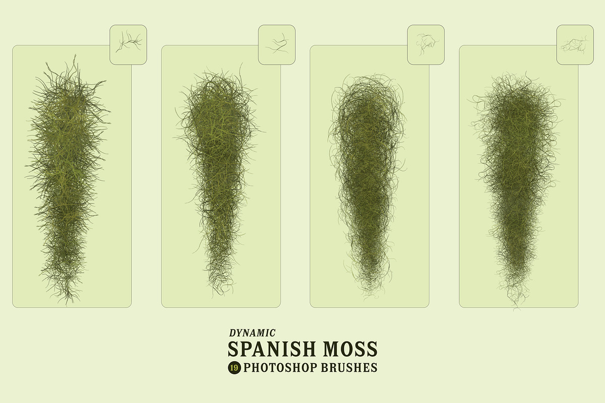 Spanish Moss Photoshop Brushes, a Brush Add-On by Mohamed Saber (Photo 4 of 5)