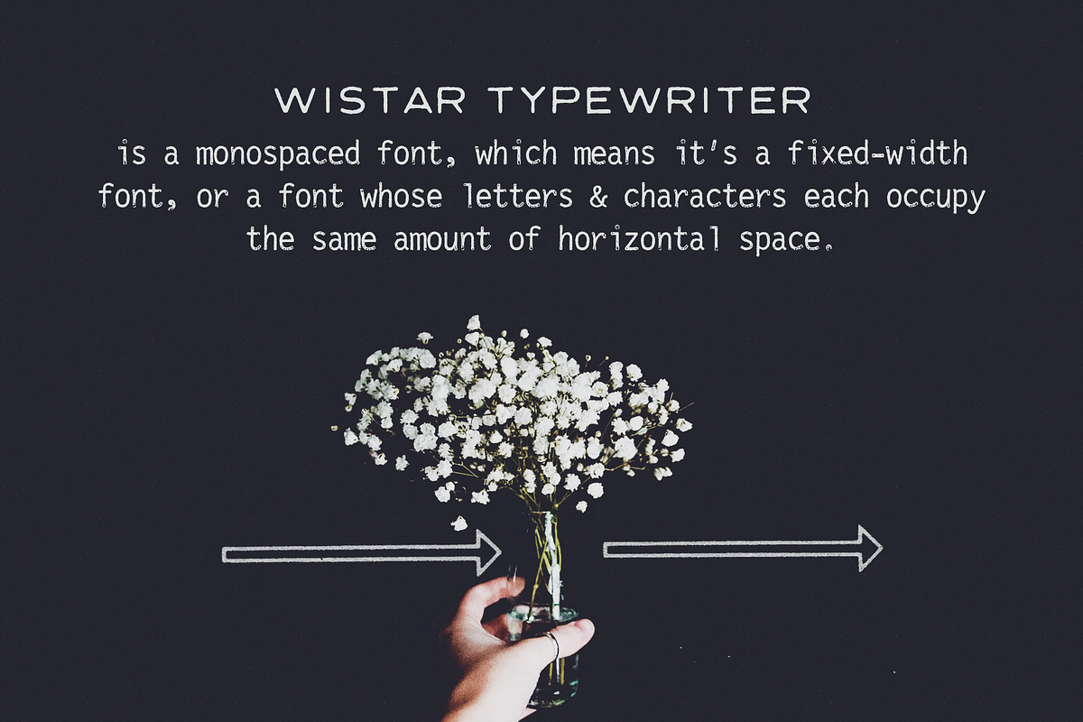 Wistar Typewriter SVG Font Family, a Sans Serif Font by Ana's Fonts (Photo 3 of 11)