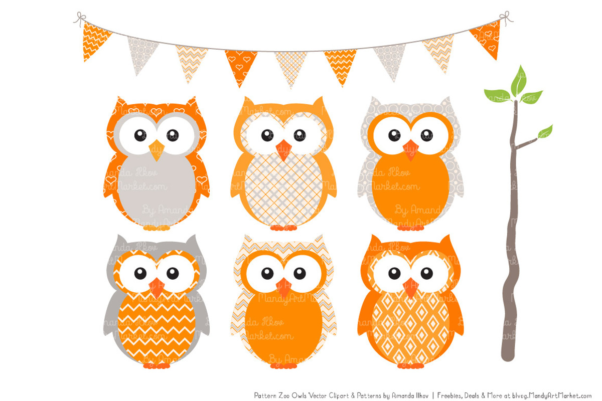 Owls Clipart & Patterns in Tangerine, an Animal Illustration by Amanda Ilkov (Photo 2 of 4)