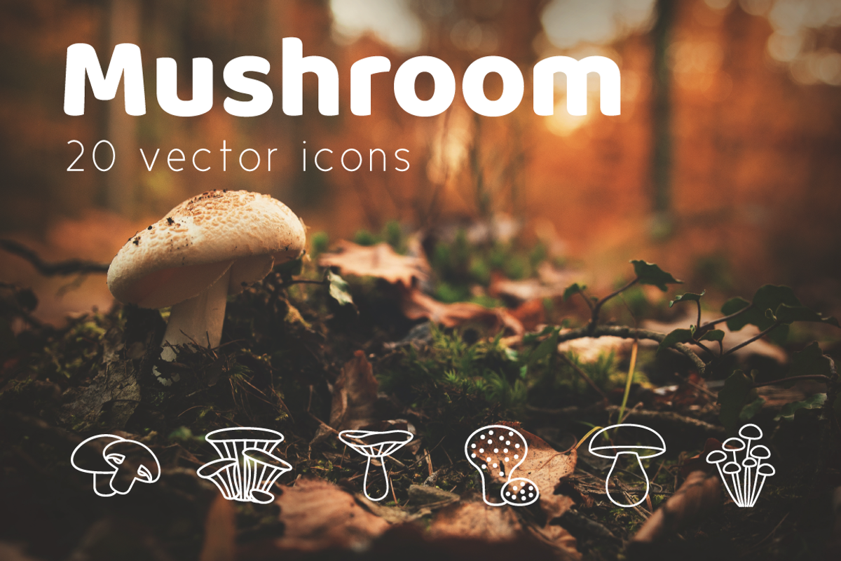 MUSHROOM - vector line icons, an Outline Icon by marusdesign (Photo 1 of 2)
