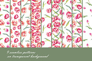 Spring flowers bundle PNG + patterns, an Illustration by Alena Kurian (Thumbnail 7 of 10)