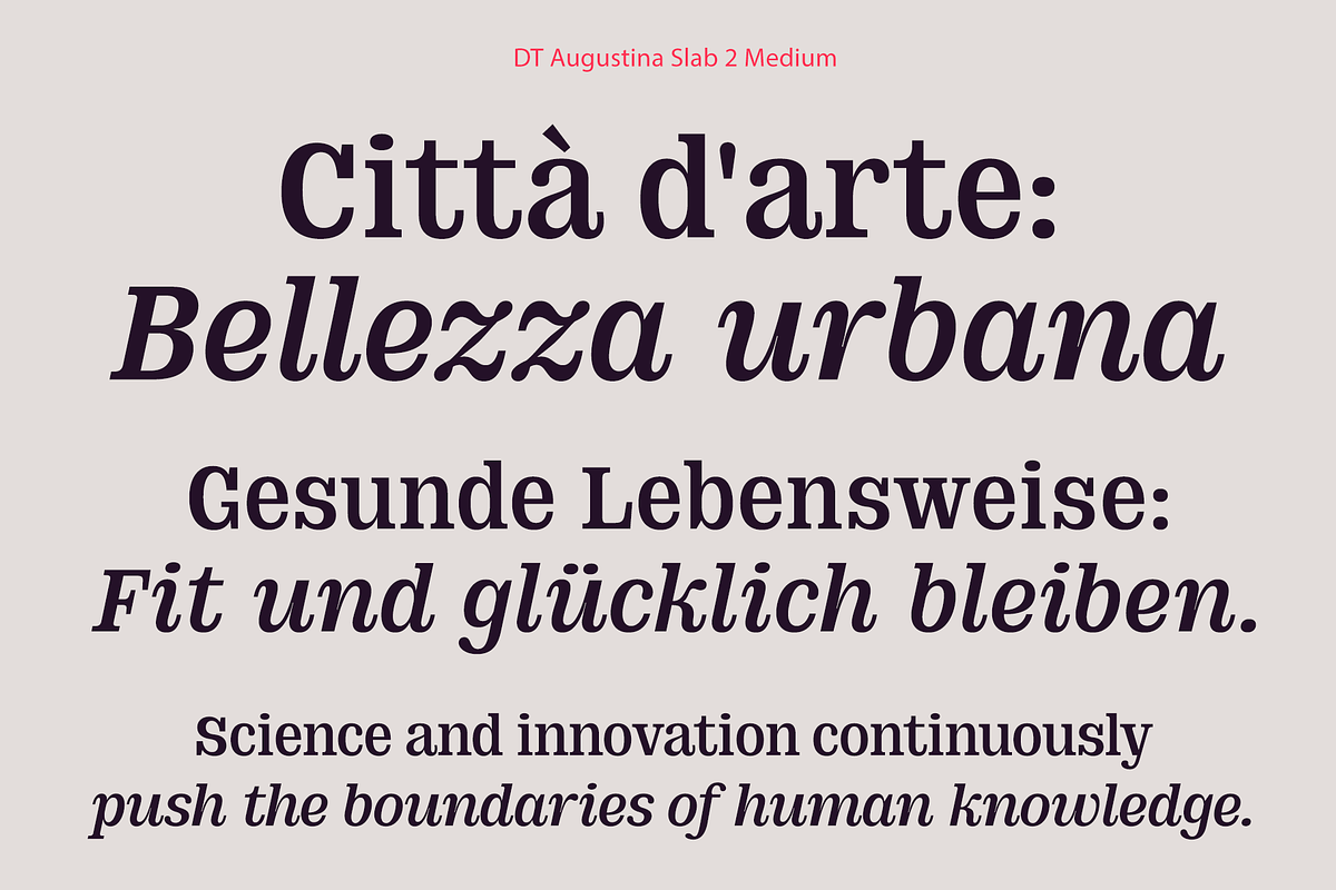DT Augustina Slab 2 Subfamily, a Slab Serif Font by Deveze Type Foundry (Photo 9 of 30)