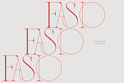 Fasio Font, a Serif Font by vuuuds (Thumbnail 11 of 15)