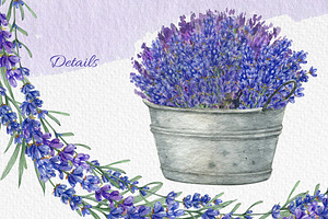 Watercolor Provence Lavender Flower