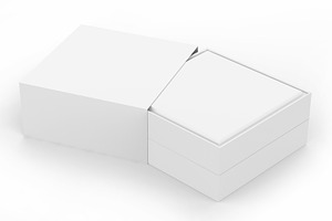 Case In Box Mockup