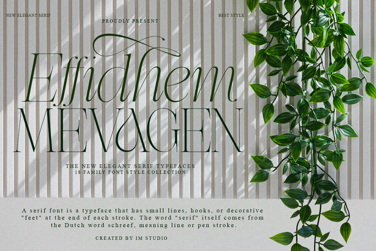 Effidhem Mevagen | 18 Font Files, a Serif Font by IM Studio (Photo 10 of 14)