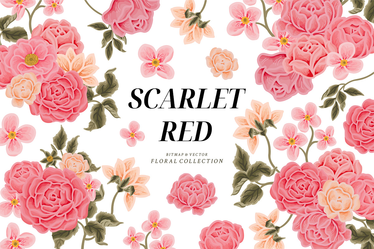 SCARLET RED - Flower Collection, an Object Graphic by Artflorara (Photo 11 of 12)