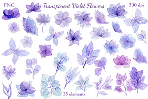 Transparent Violet Flowers