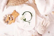 Bronte | Botanical set | 280+ images, an Illustration by Karma (Thumbnail 3 of 39)