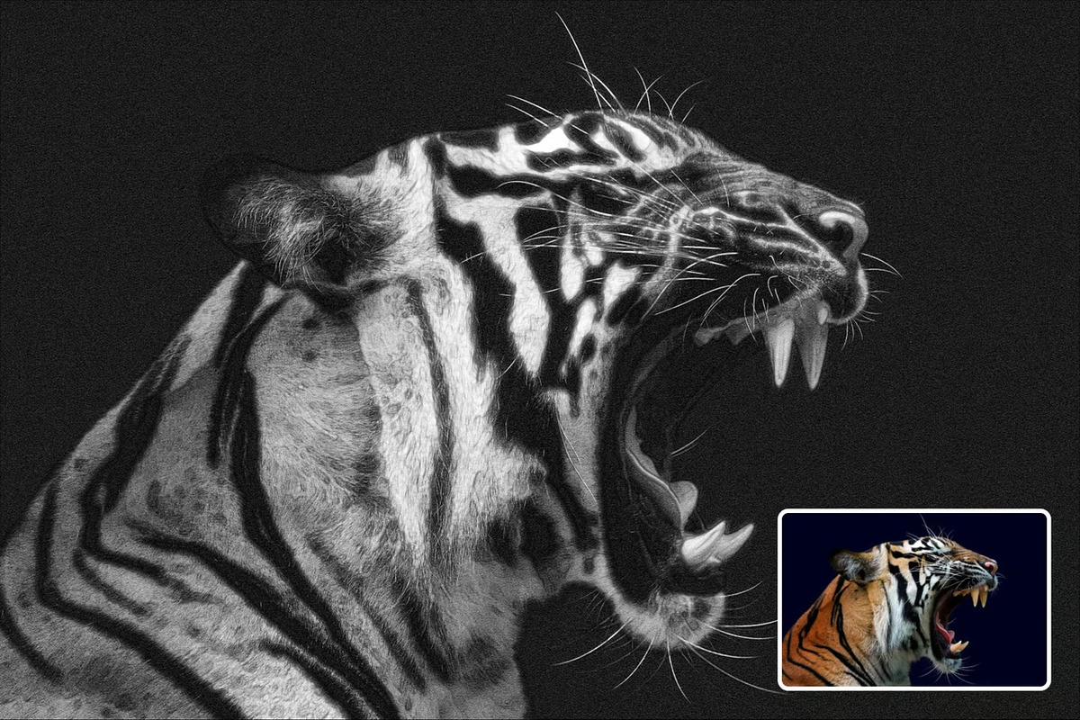 Pencil Drawings Effect Photoshop, a Layer Style Add-On by Hubzway (Photo 4 of 7)