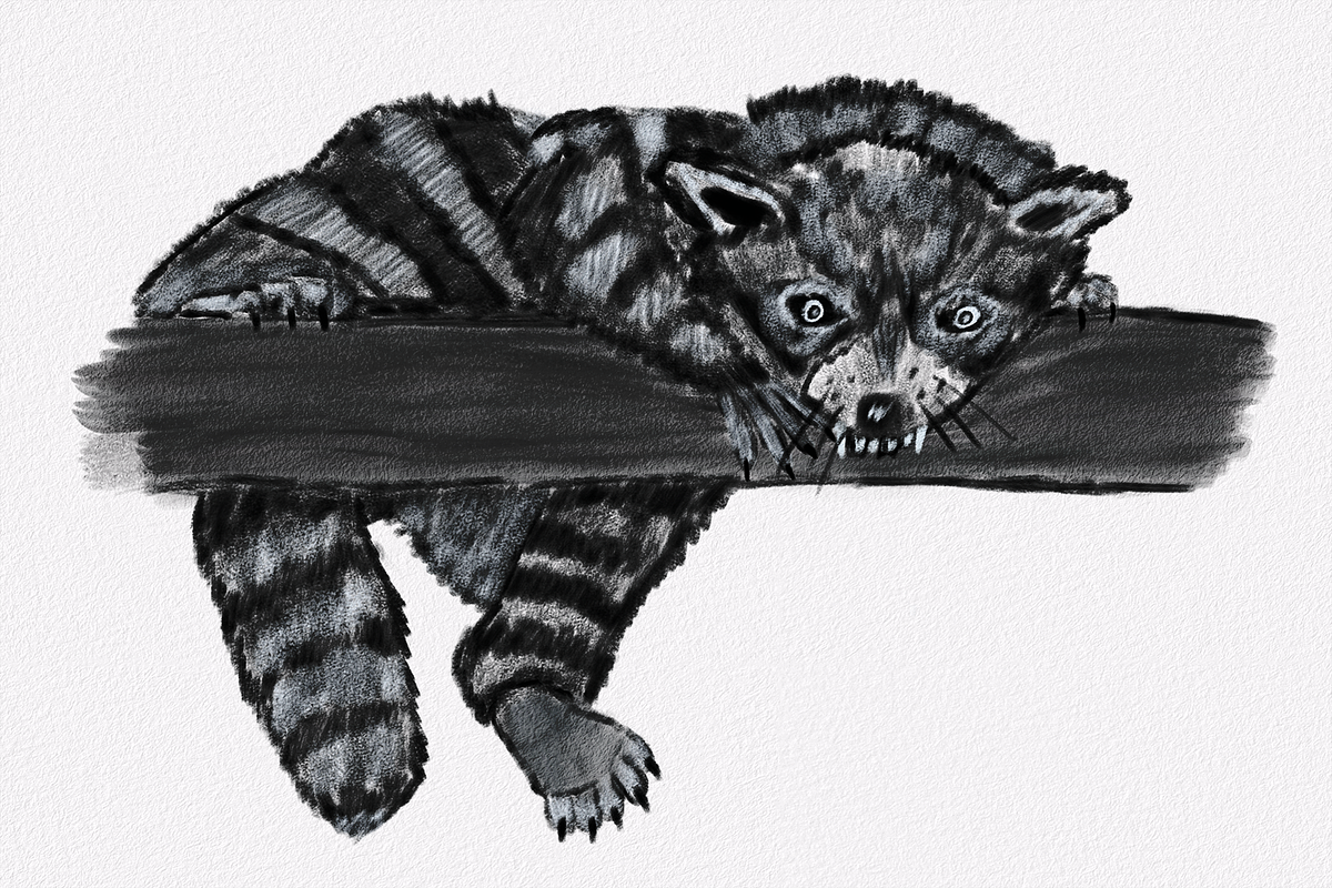 Procreate Charcoal Brush Set, a Brush Add-On by Brush Moment (Photo 7 of 9)