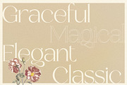 Dearest - Elegant Display Serif, a Serif Font by Brandear Design (Thumbnail 6 of 17)