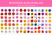 Flower Bud Overlays, an Object Graphic by VligCreativeStudio (Thumbnail 4 of 4)