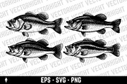 Detailed sea bass (or bass fish), an Animal Illustration by Vectorhight (Thumbnail 1 of 3)