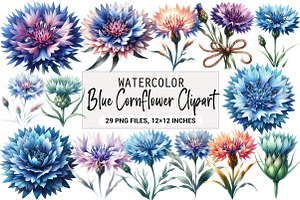 Blue Cornflower Clipart, an Illustration by DreamArtGraphic