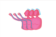 Inside Autism, an Illustration by This Kind (Thumbnail 5 of 6)