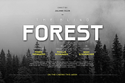 Toleis, a Sans Serif Font by twinstd (Thumbnail 3 of 13)