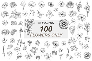 Floral Line Art, Outline Flowers, an Object Graphic by CaraulanStore