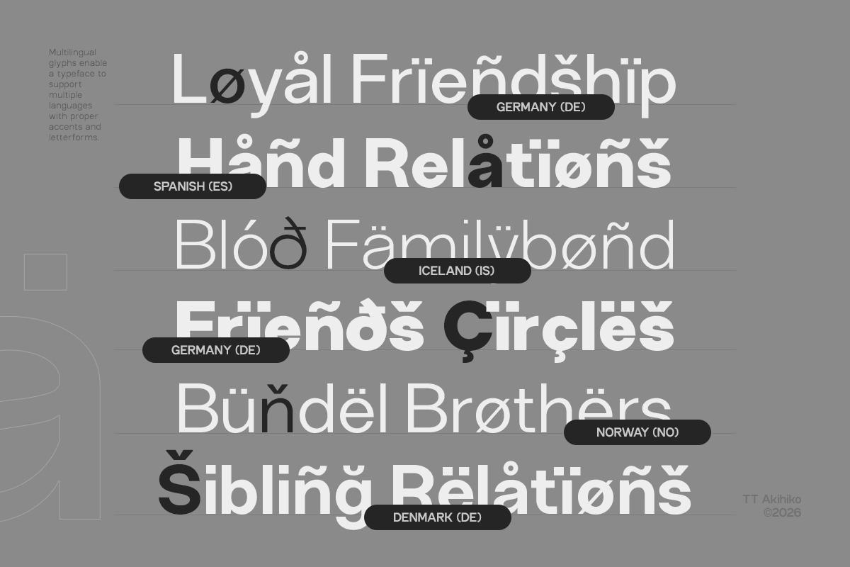 GC Neue Rumble - Modern Elegant Sans, a Sans Serif Font by Glyphonic (Photo 8 of 15)