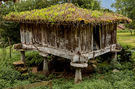 Ancient Asturian granary with a gree
