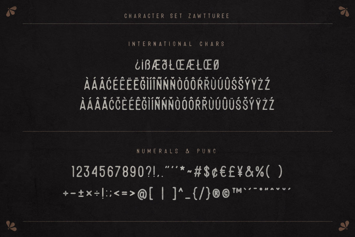 Zawturee Vintage Business Font, a Sans Serif Font by Creatype Studio (Photo 10 of 10)