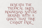 Atteron-Elegant Serif Font, a Serif Font by din-studio.com (Thumbnail 15 of 16)