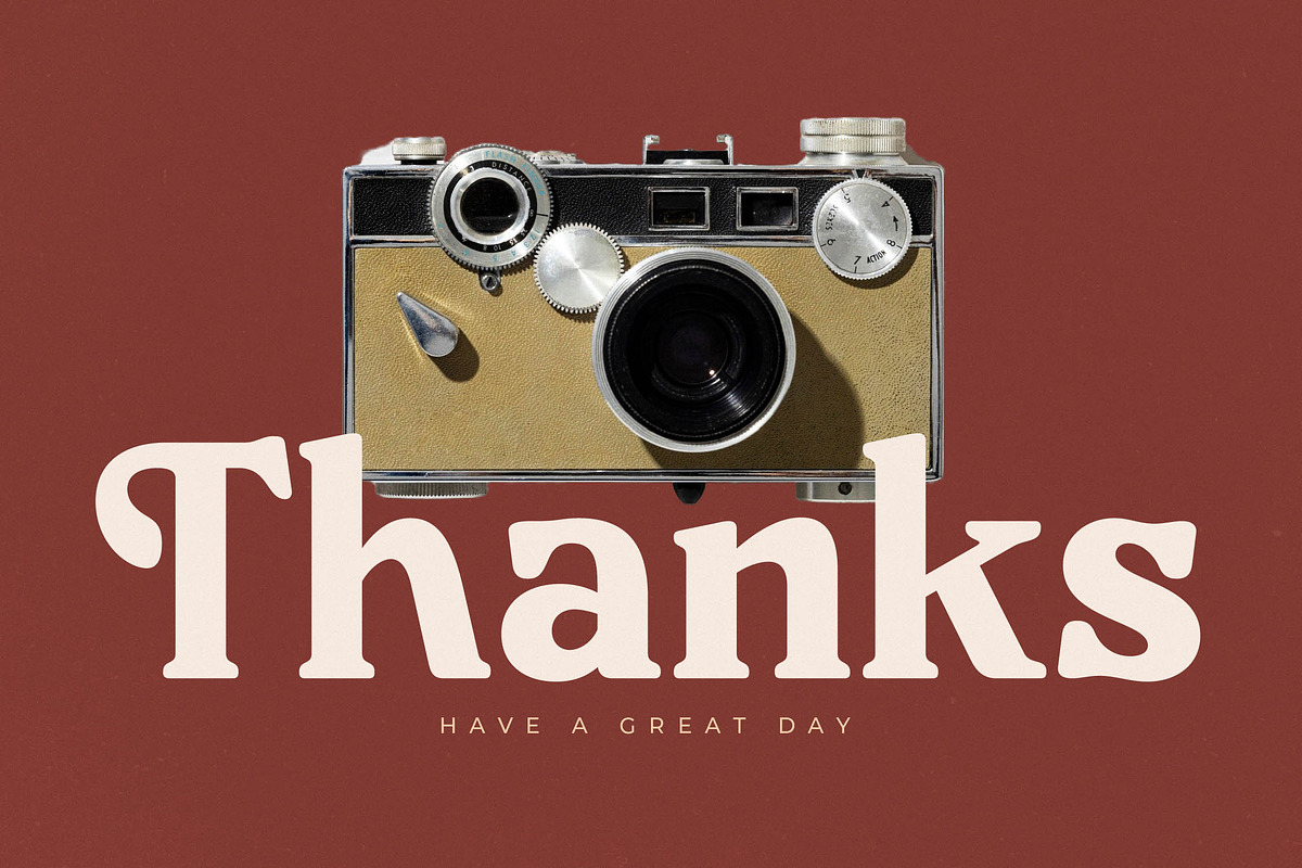 Bricks Antique Modern Vintage Serif, a Serif Font by Letterena Studios (Photo 15 of 15)