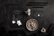 NOCTURNA Hidden Secrets Collection, a Decorative Illustration by Muse Artist (Thumbnail 22 of 47)