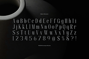Apex Royale | Modern Serif, a Serif Font by gracetype_studio (Thumbnail 10 of 12)
