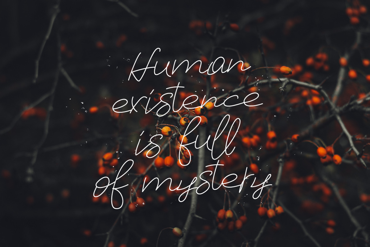Old Maple, a Script Font by chekart (Photo 3 of 5)