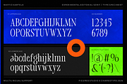 Maffio Kartela - Experimental Serif, a Serif Font by figuree studio (Thumbnail 5 of 10)