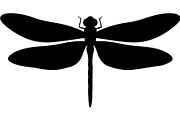 Dragonfly Silhouette, an Object Graphic by Designer_Momina (Thumbnail 17 of 20)