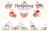 Hedgehog watercolor clipart, an Illustration by Art & Things (Thumbnail 5 of 7)