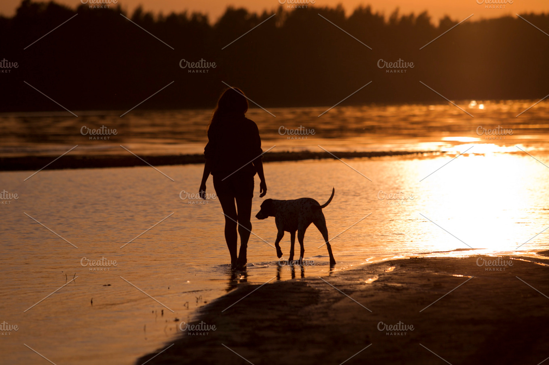 Sunset containing dog, nature, and water