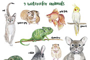 PETS. Watercolor set, an Animal Illustration by digital_essence (Thumbnail 2 of 5)