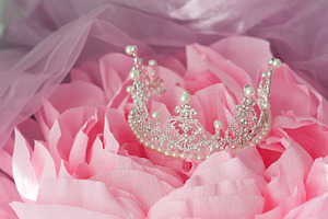 Wedding vintage crown of bride containing accessory, background, and beautiful