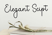 Brother Wedding, a Handwritten Font by FreshTypeINK (Thumbnail 6 of 8)