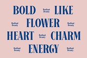 Bycorps Existent Bold Serif Font, a Script Font by timelesstype.co (Thumbnail 4 of 20)