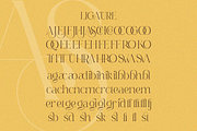 Renea - Modern Minimal Elegant Serif, a Serif Font by Qweera Studio (Thumbnail 11 of 12)