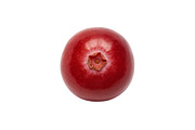 All Fruits Bundle Master Collection, a Food & Drink Photo by FlyeredTemplate (Thumbnail 17 of 130)