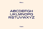 Baou Modern Sans + Logos, a Sans Serif Font by That That Creative (Thumbnail 4 of 20)