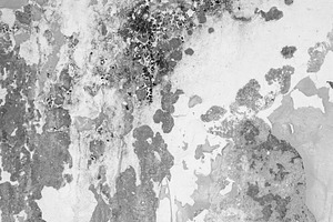 grunge, a Photo by Pictures for you!!!!!!!!!