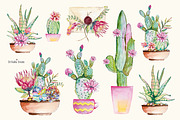 Watercolor cactus and succulents, a Decorative Illustration by Siriliadka Dreams (Thumbnail 6 of 9)